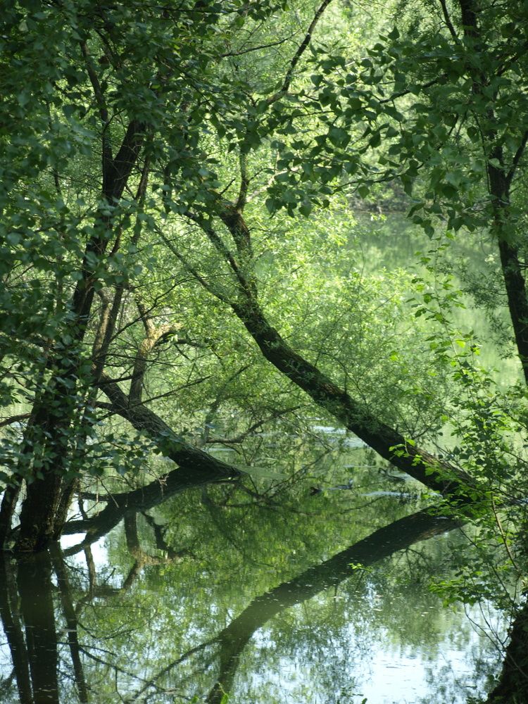 Фотография автора Ivana Kolenc