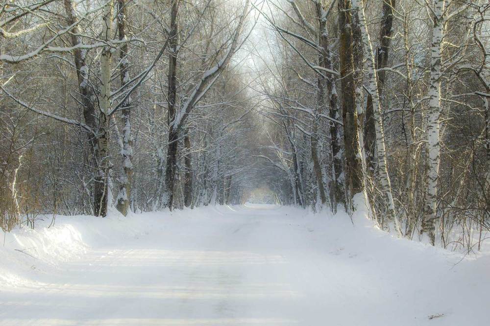 Photograph by Владимир Зубов