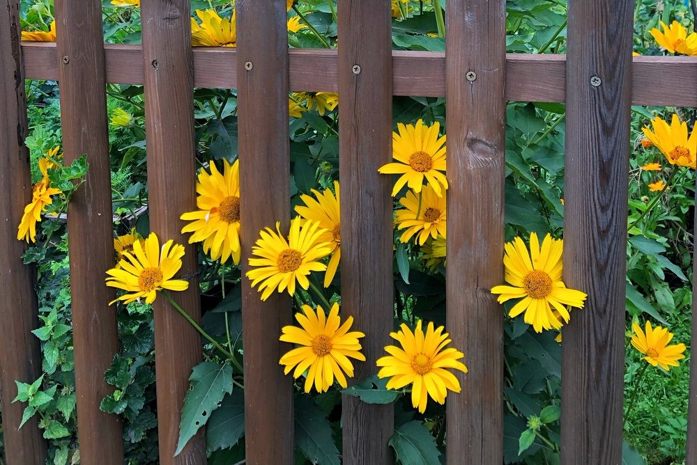 Photograph by Римма Большакова