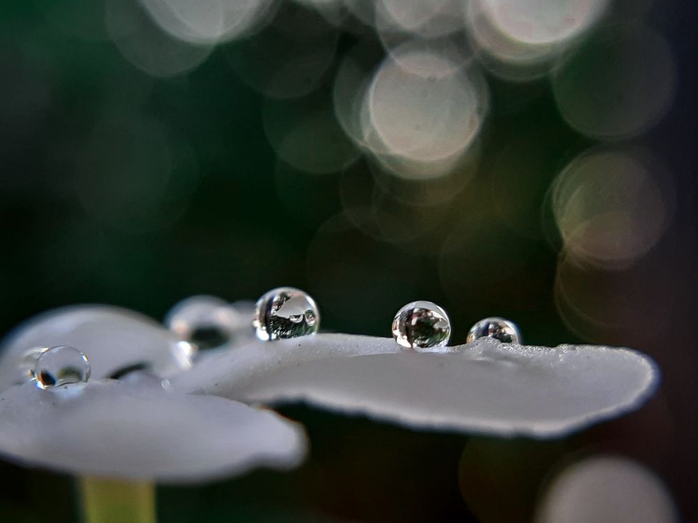 Photograph by Zankrut Antani