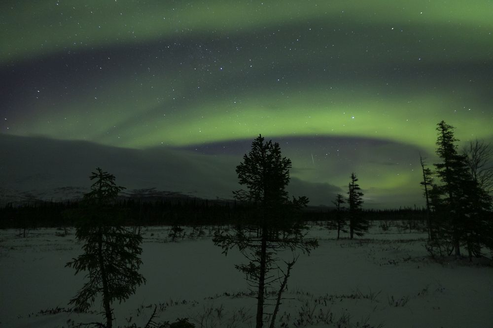 Photograph by Юлия Лазебная