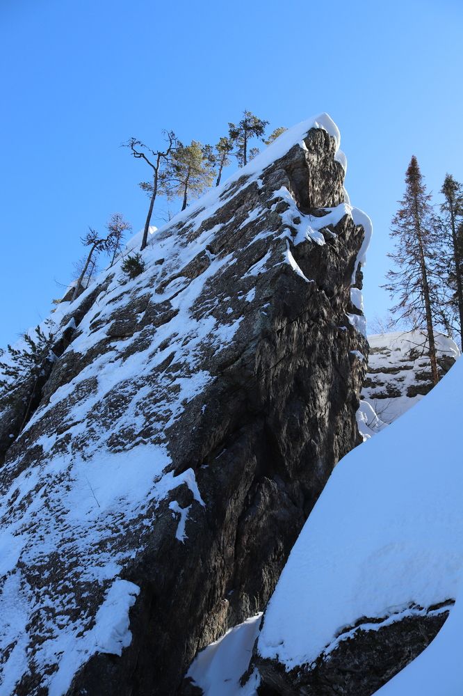 Фотография автора Веста Ягужинская