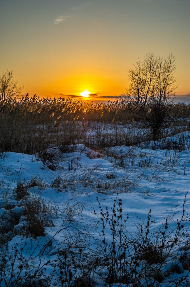 Photograph by Роман Васильев