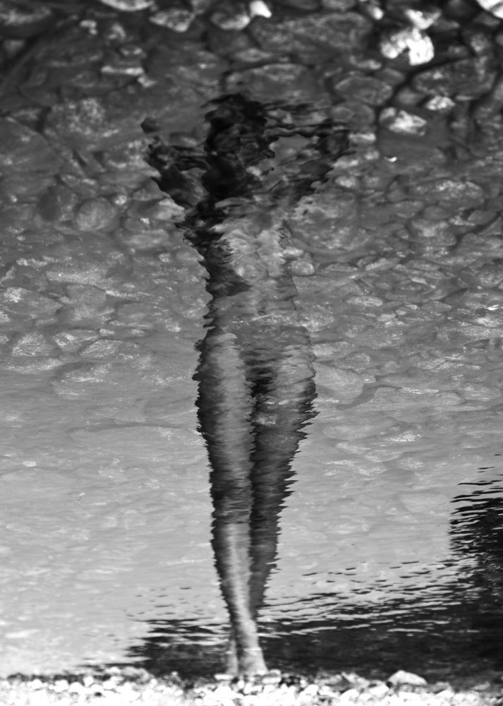 Photograph by Антон Блохин