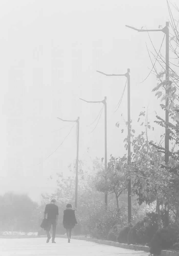 Photograph by Mahmoodreza Noraei