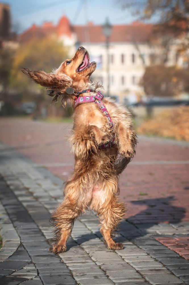 Photograph by Кристина Чижмар