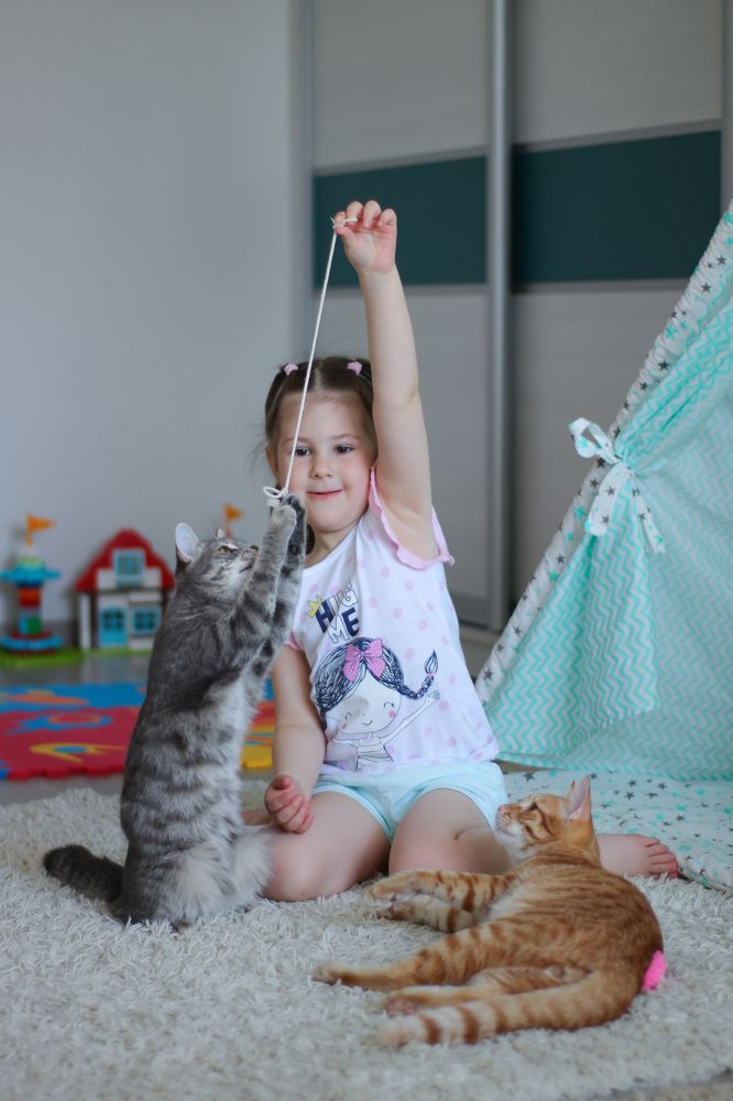 Photograph by Алина