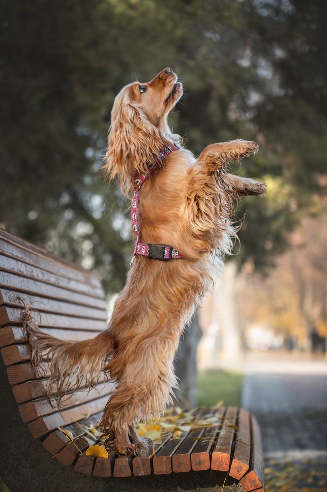 Photograph by Кристина Чижмар