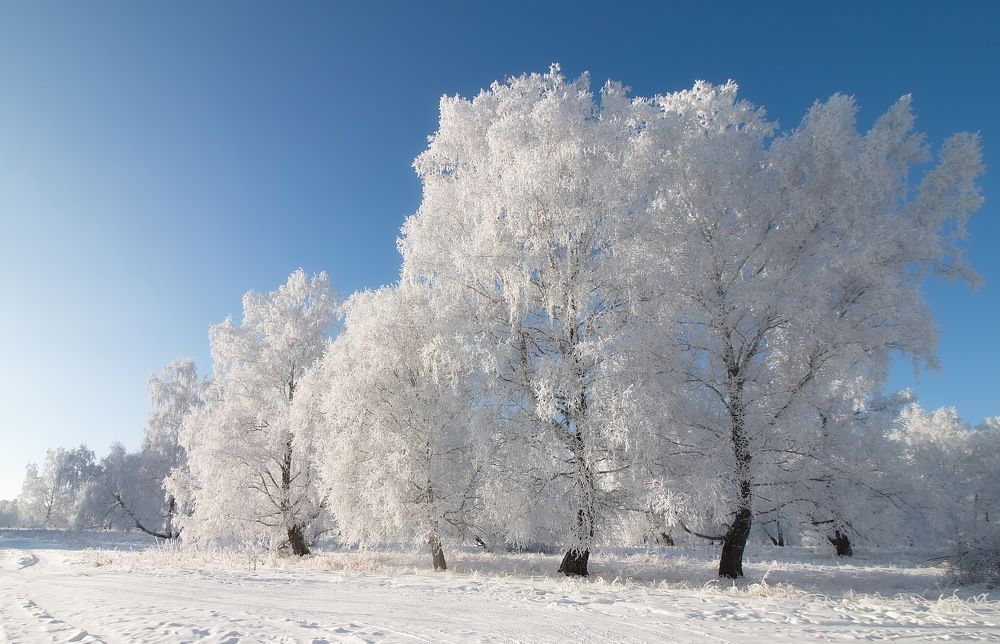 Photograph by Анатолий Васильев