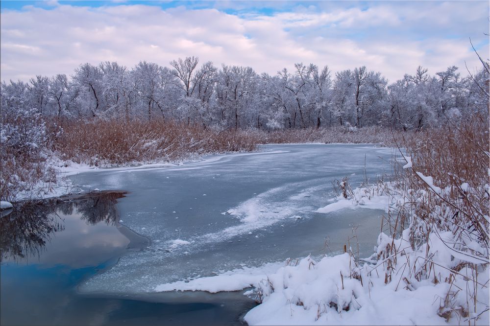 Photograph by Нелли