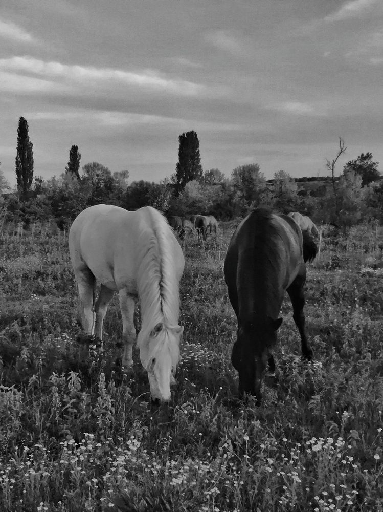 Photograph by Сергей Жигульский