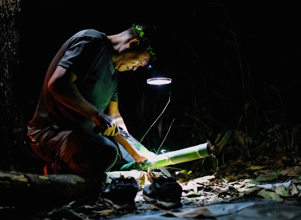 Фотография автора Nguyen Nguyen .N