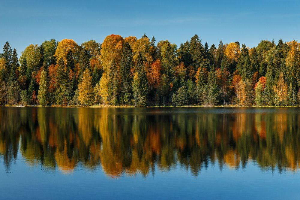 Photograph by Тимофей Шутов