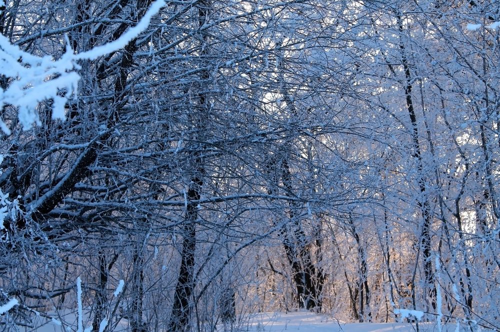Photograph by Дарья Ващенко-Панкина