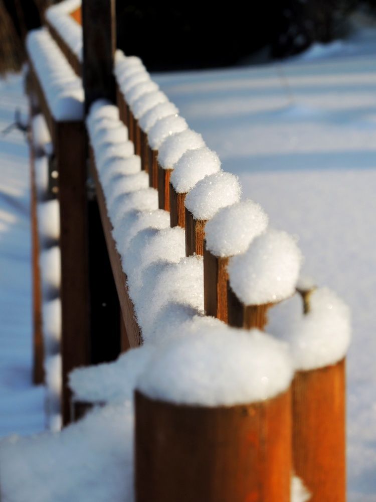 Photograph by Римма Большакова