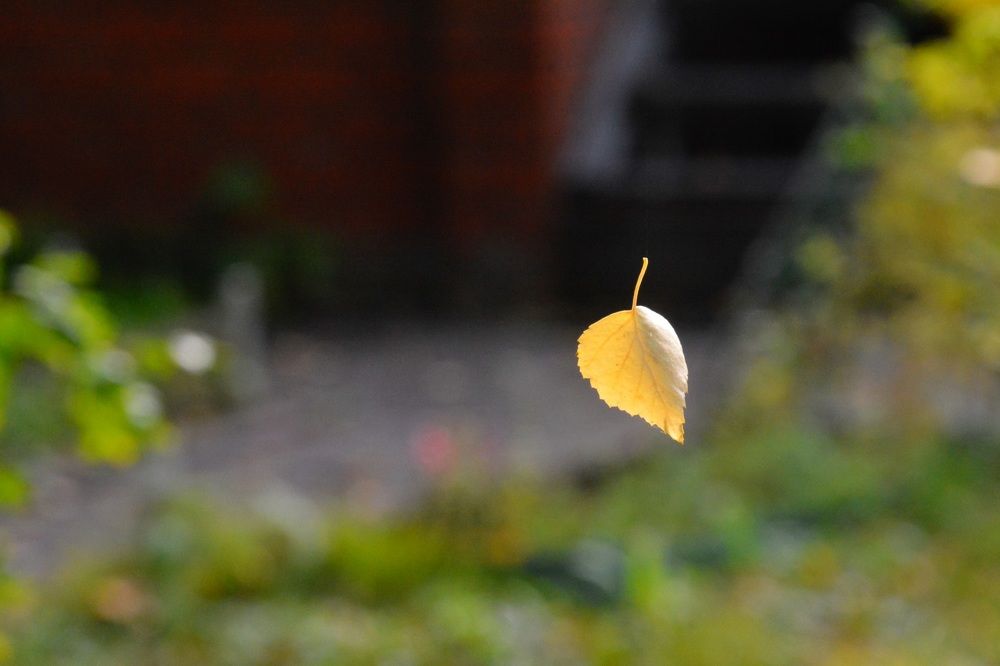 Photograph by Римма Большакова