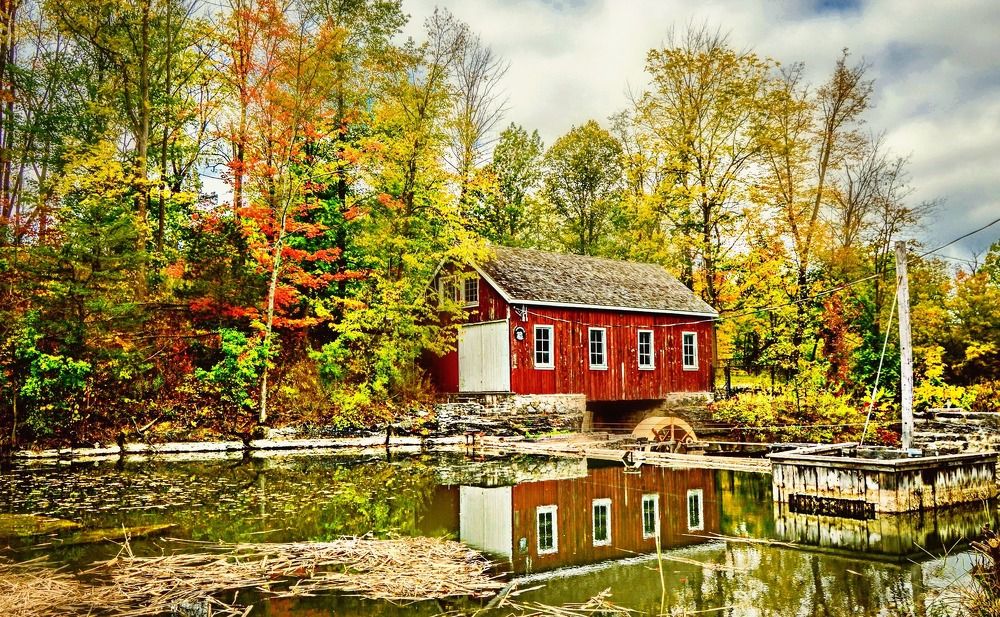 Фотография автора Katerina Georgieva