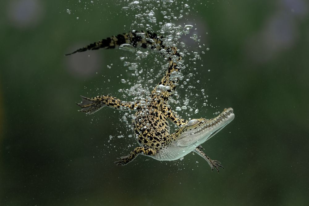 Photograph by Tyson Majin