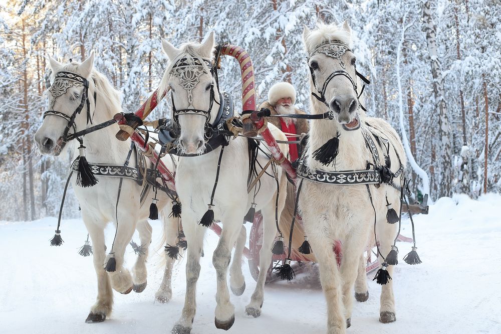 Photograph by Maksim Malkin