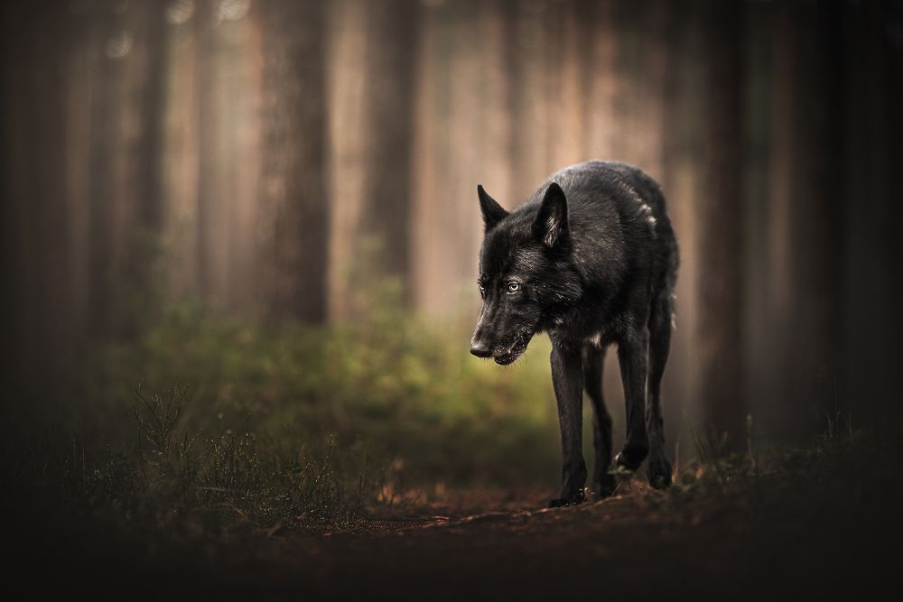 Photograph by Rosie Phang