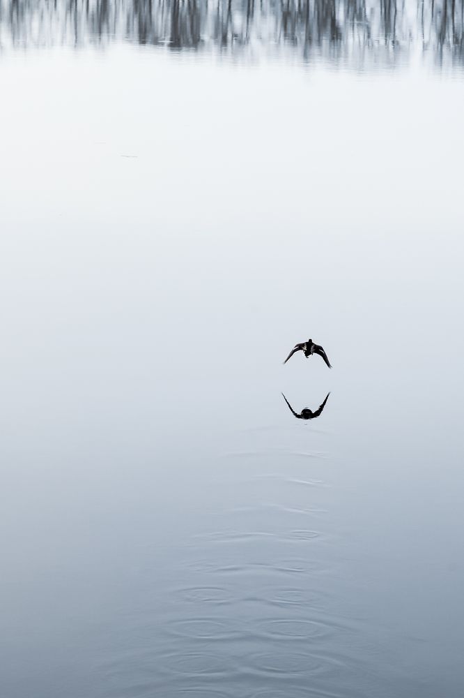 Photograph by Илья Шамин