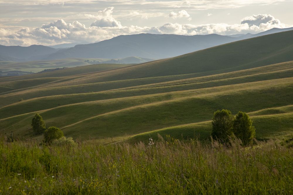 Photograph by Юлия Лазебная