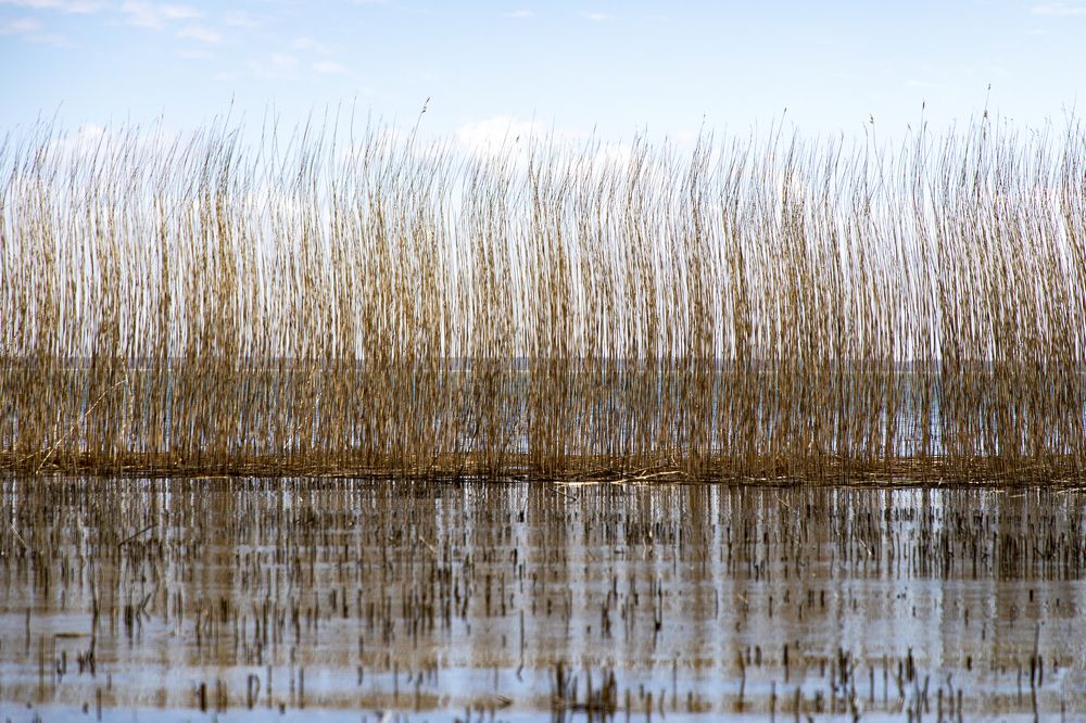 Photograph by Rolandas Valančauskas