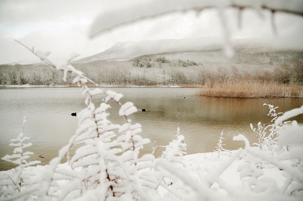 Photograph by Наталья Чищевая