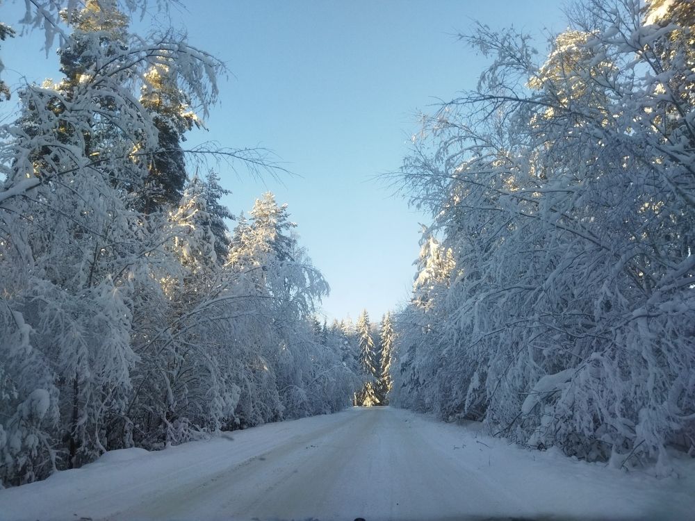 Фотография автора Ксения Бушуева