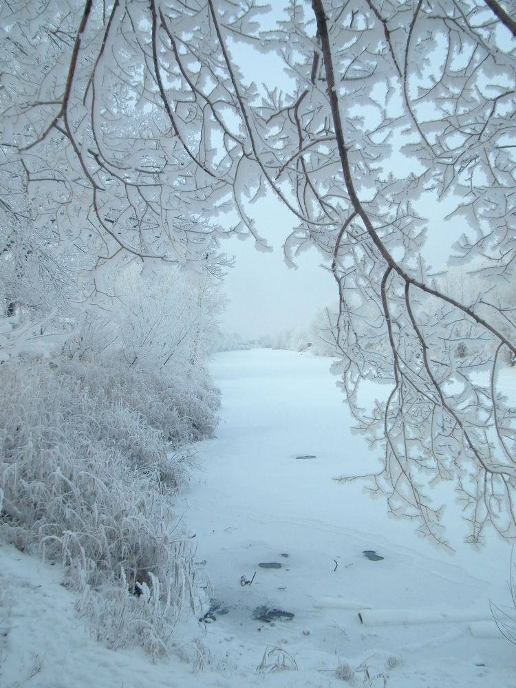 Photograph by Анна Ермилова