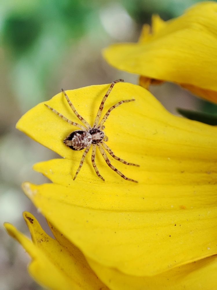 Photograph by Ирина Шевчук