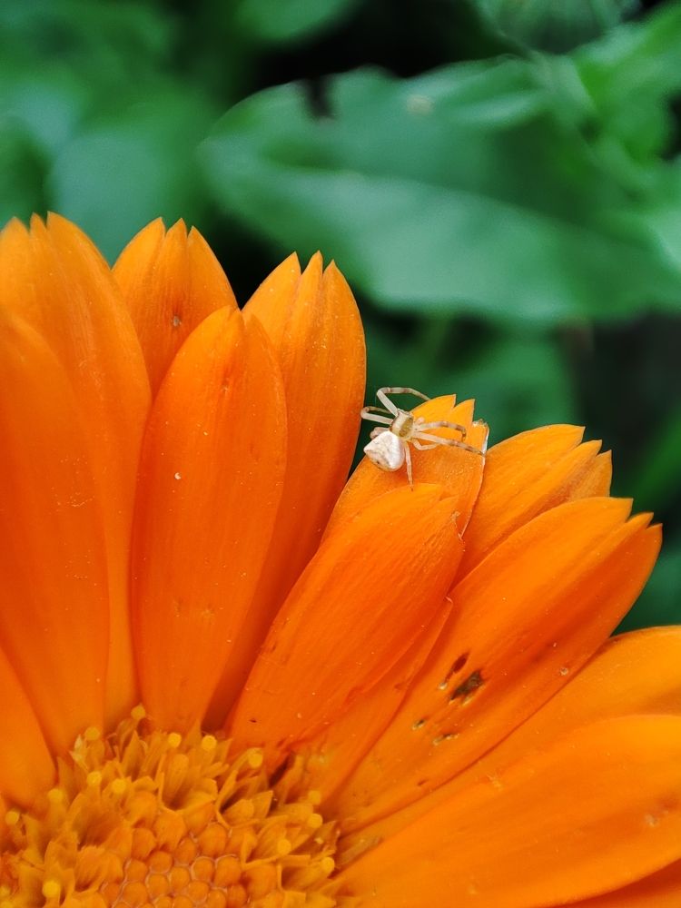 Photograph by Ирина Шевчук