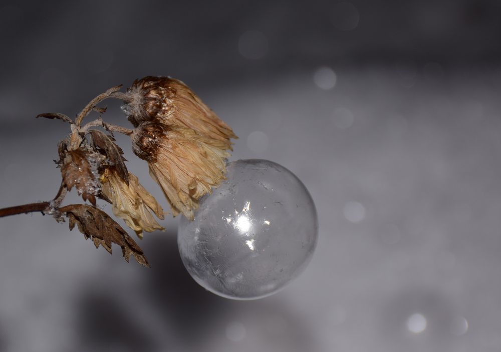 Photograph by Татьяна Дорожко