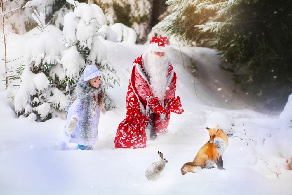 Фотография автора Алёна Сухарева