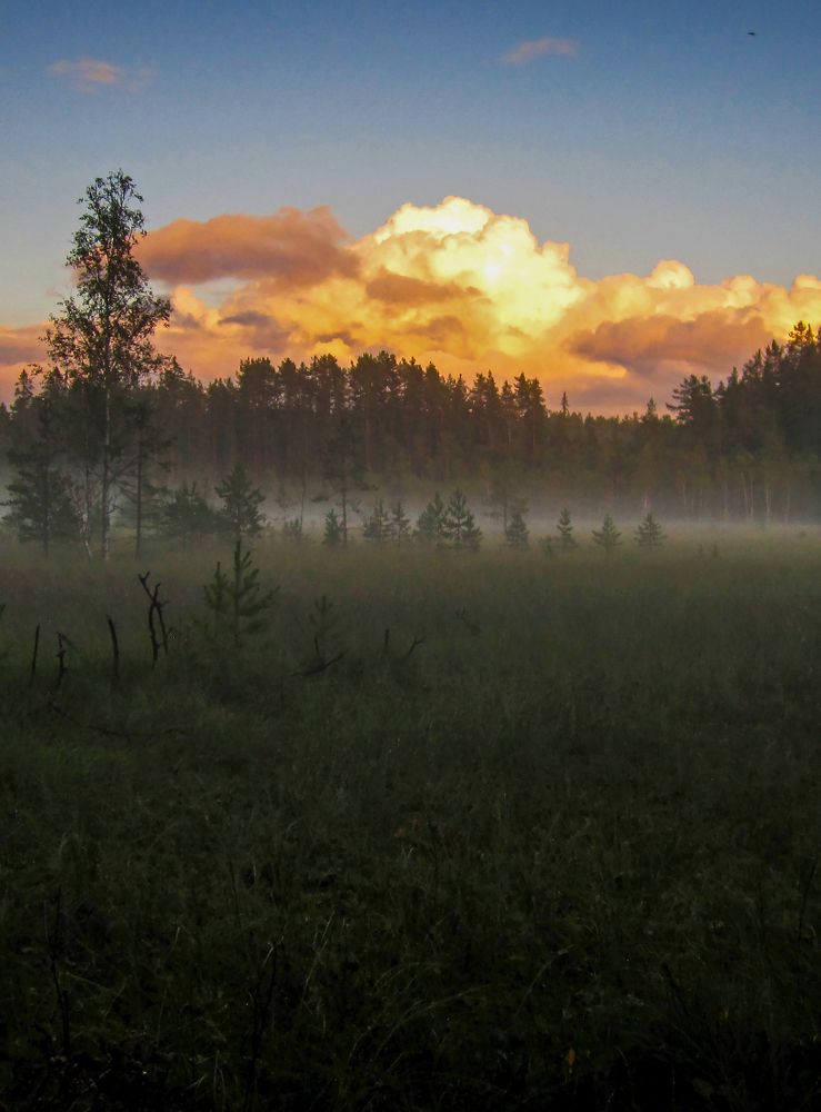 Photograph by Ubare Kelle