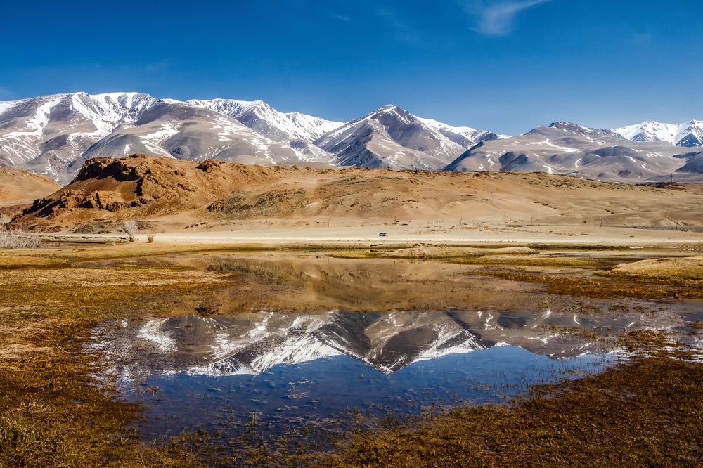 Весна на Алтае.