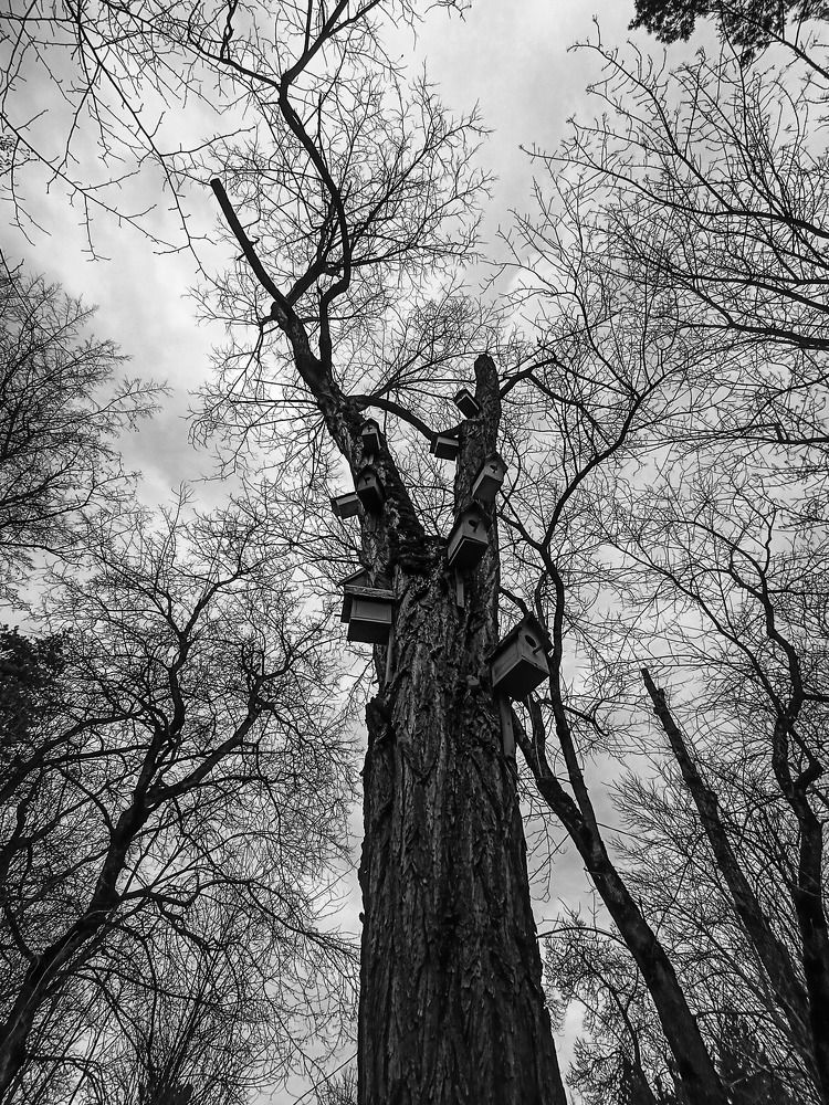 Photograph by Олег Башкуров