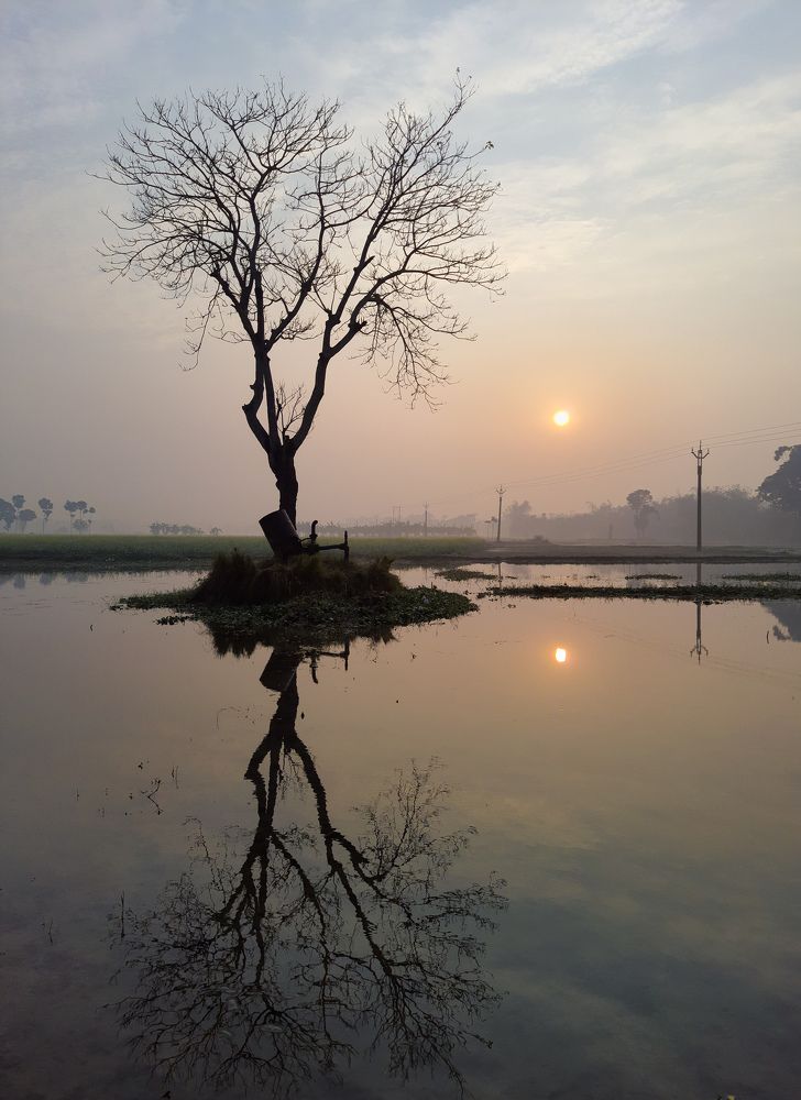 Photograph by Tanmay Karmakar