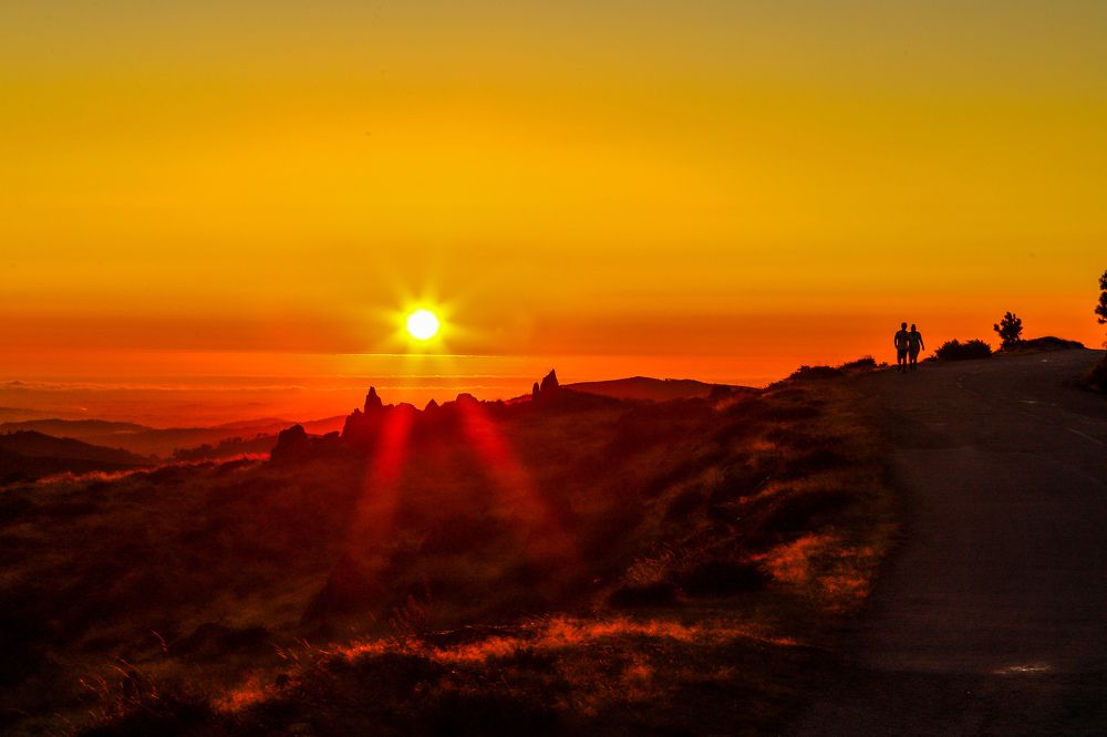 Photograph by Fernando Tavares