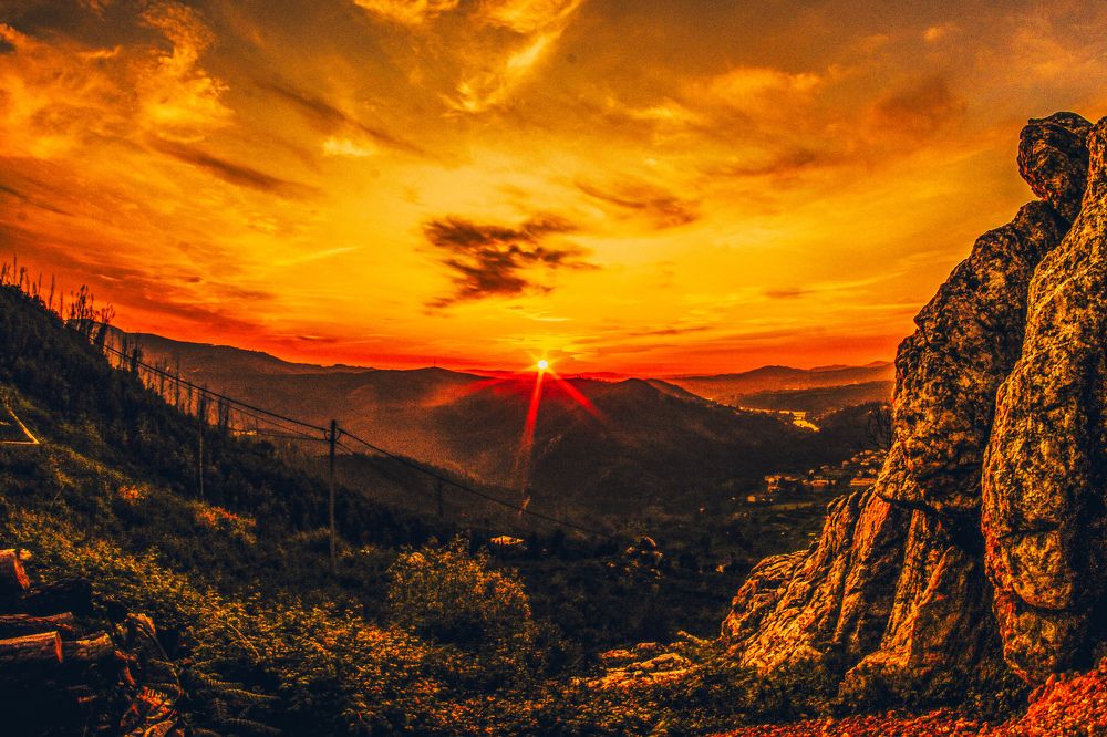 Photograph by Fernando Tavares