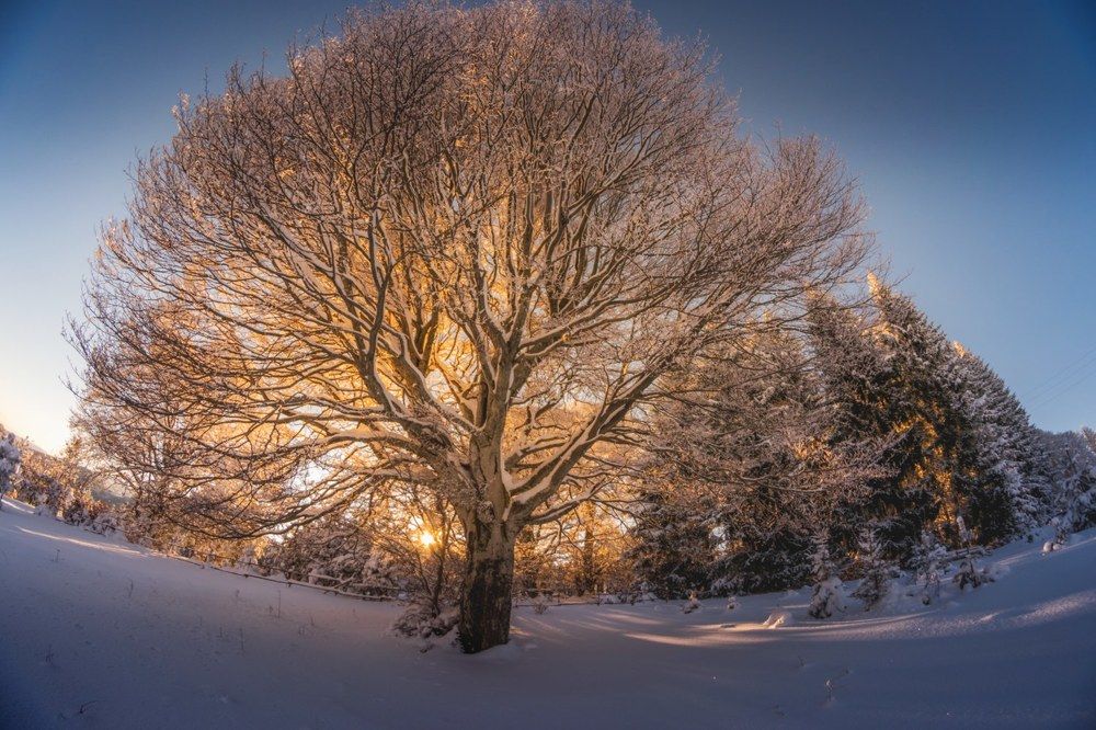 Photograph by Vladislav Chanev