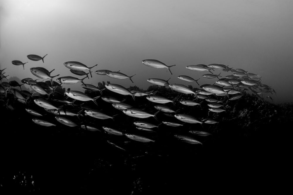 Фотография автора Евгения Кирпиченкова (Клипп)