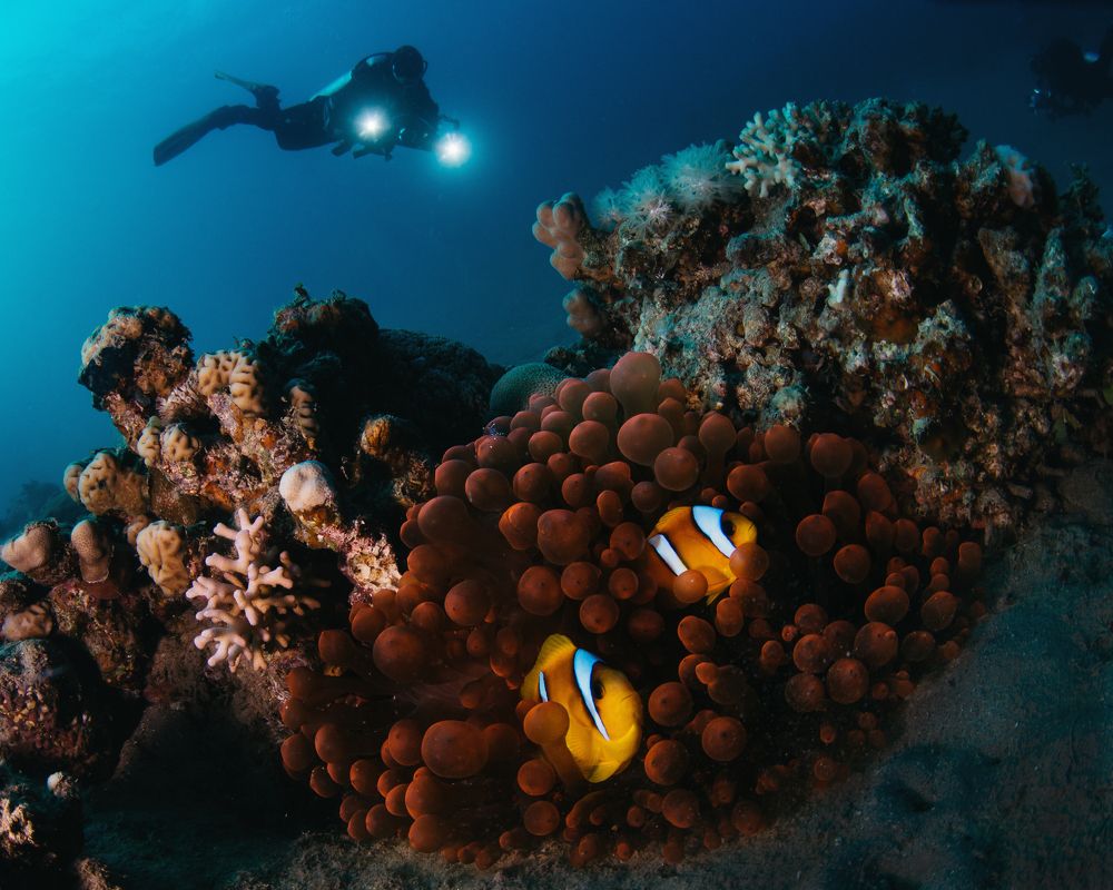 Фотография автора Евгения Кирпиченкова (Клипп)