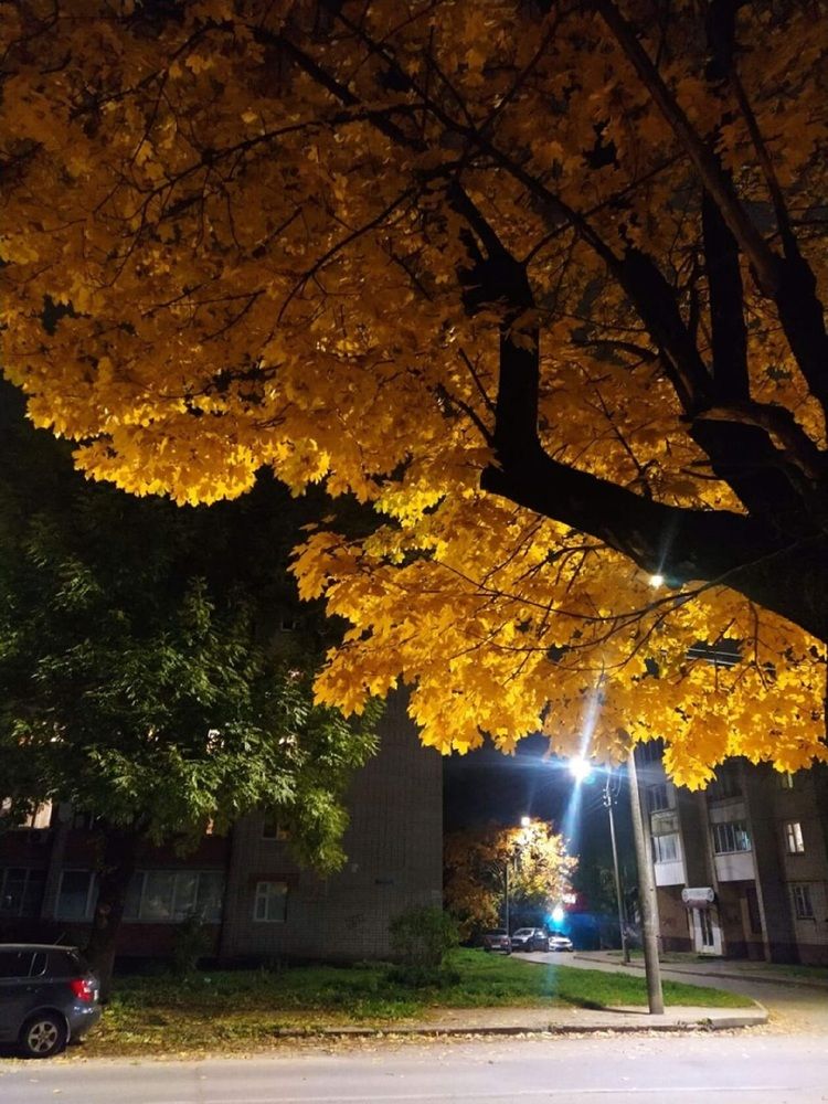 Photograph by Роман Лерниченко