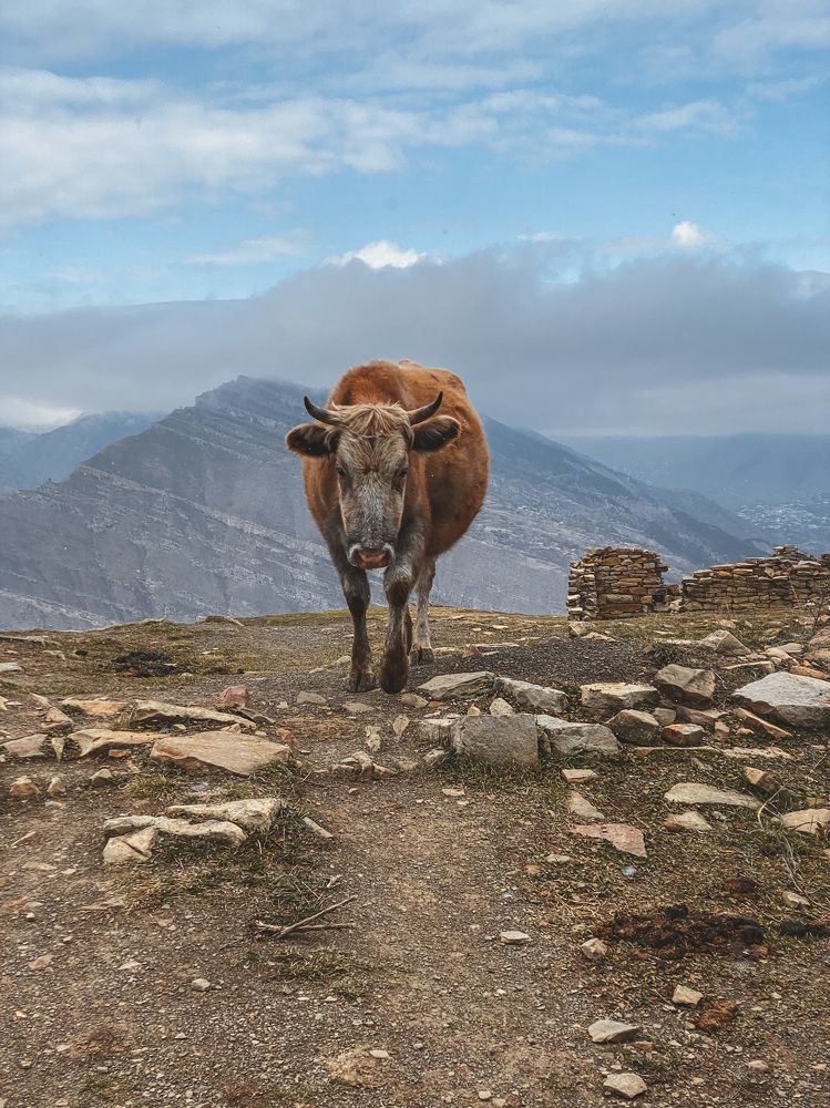 Photograph by Елена Барсукова