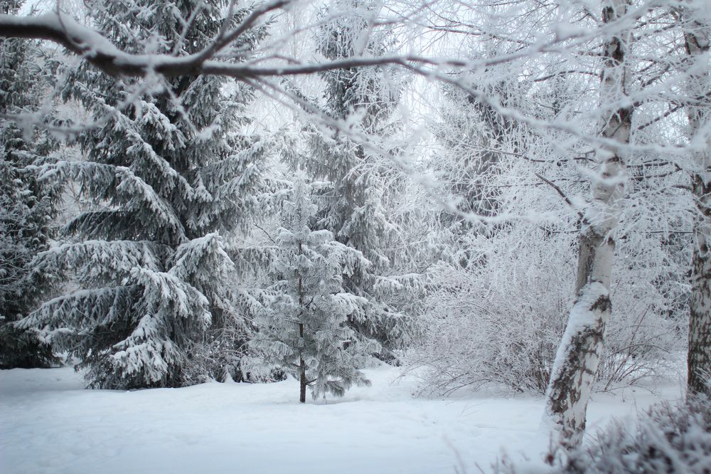 Photograph by Олеся Кучерова