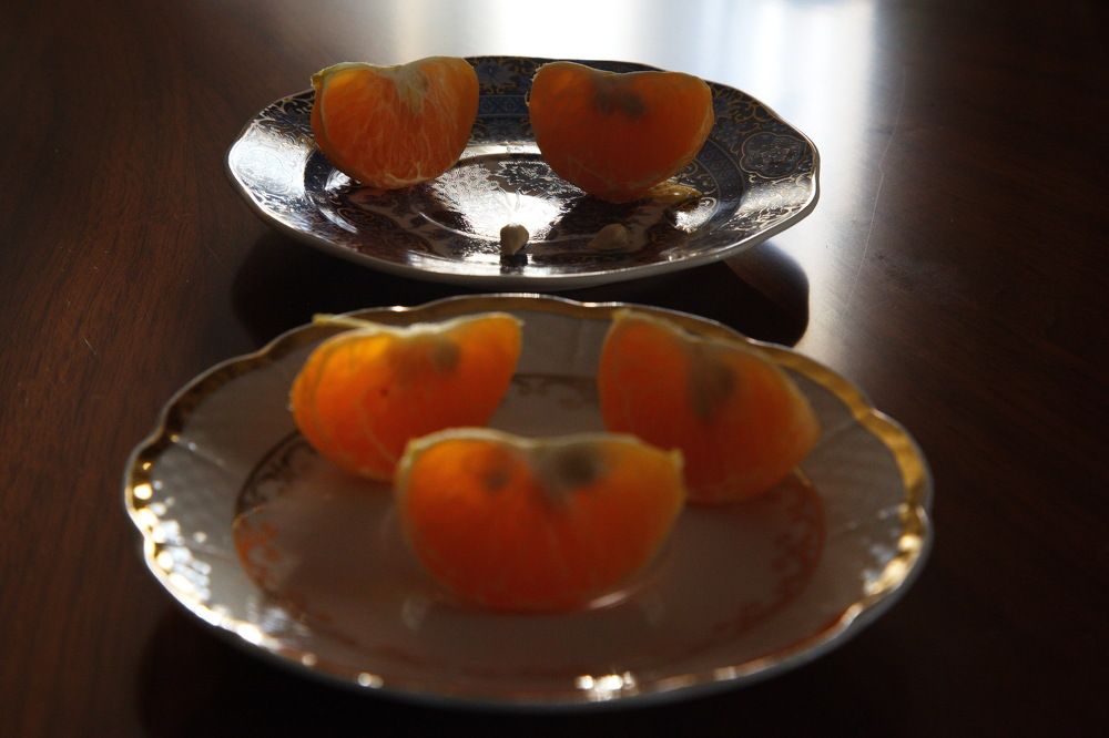 Photograph by Анатолий Протасов