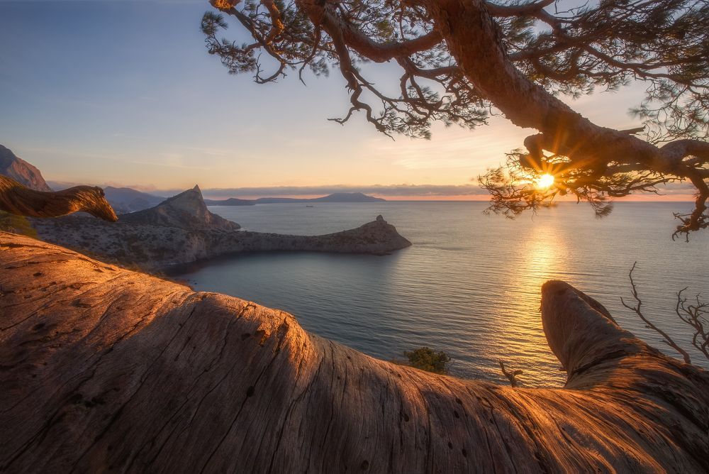 Фотография автора Екатерина Дмитренко