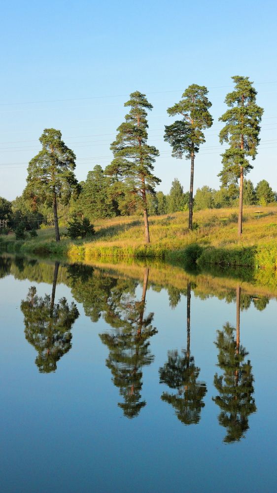 Photograph by Денис Ашуров