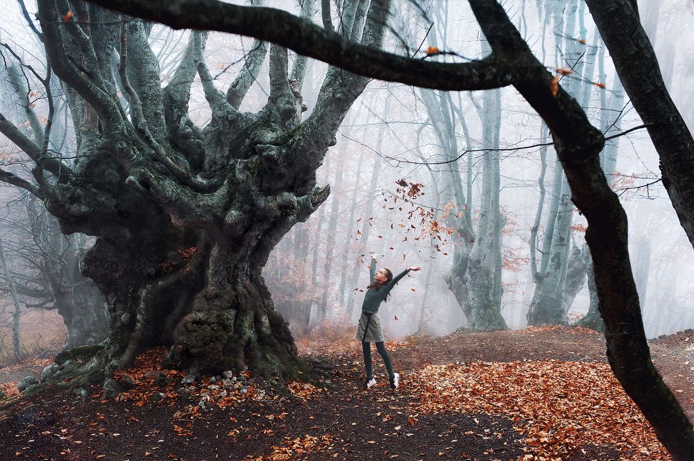 Улыбка древнего бука